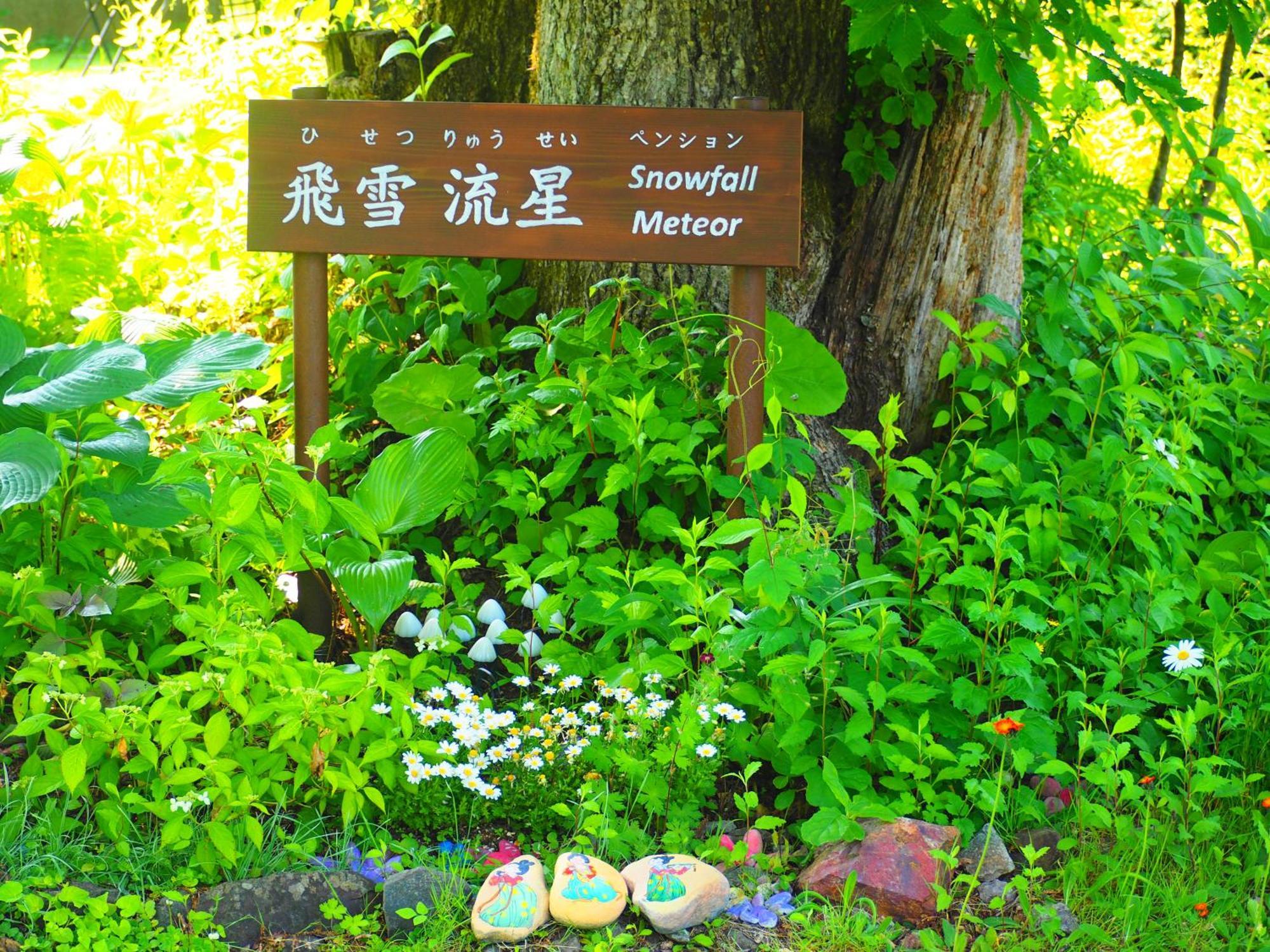 Snowfall Meteor 飛雪流星 Guest house