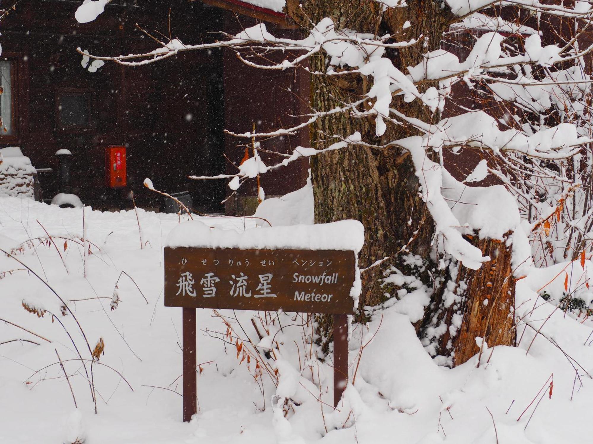 Maison d'hôtes Snowfall Meteor 飛雪流星 Kaminoyama